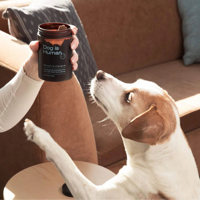 DM-01™ Daily Multivitamin