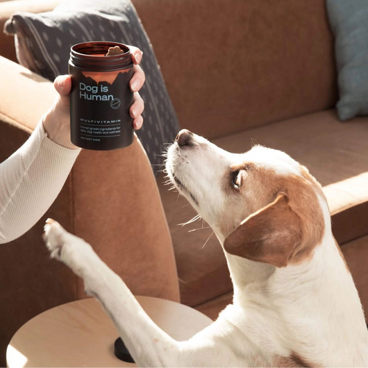 DM-01™ Daily Multivitamin